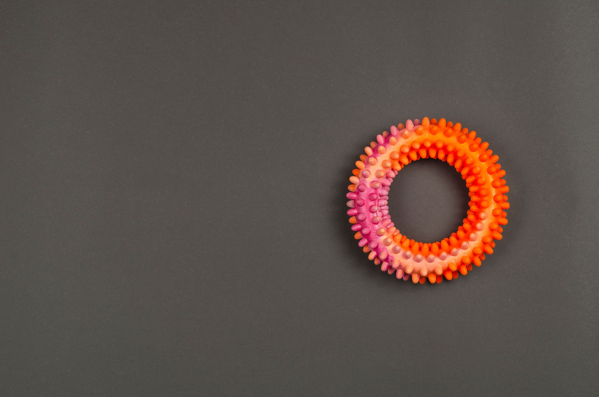 Oranger Cockring auf grauem Hintergrund