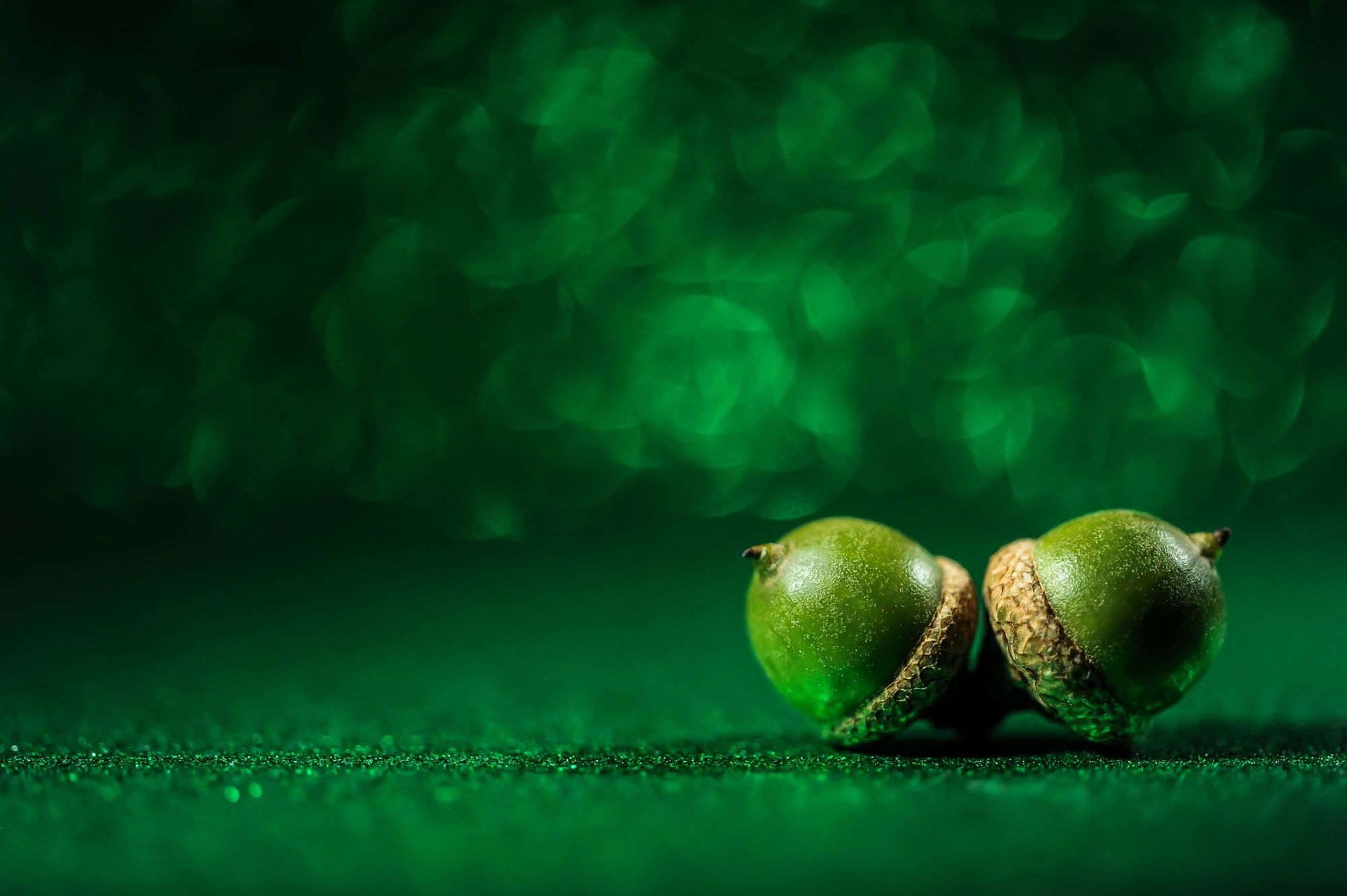2 Eicheln auf grünem Hintergrund