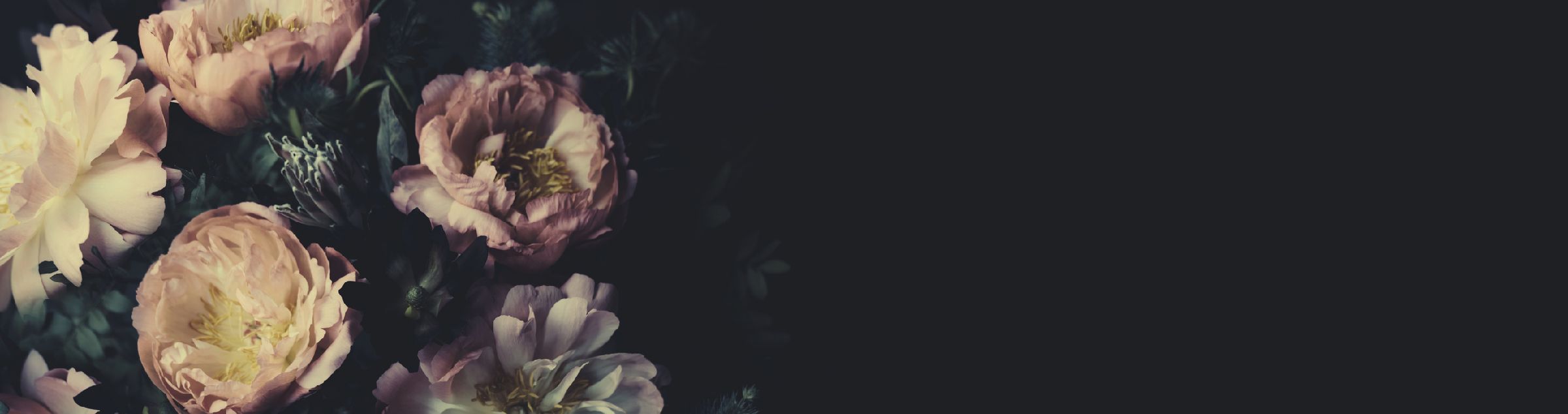 Helle Blumen vor einem dunklen Hintergrund