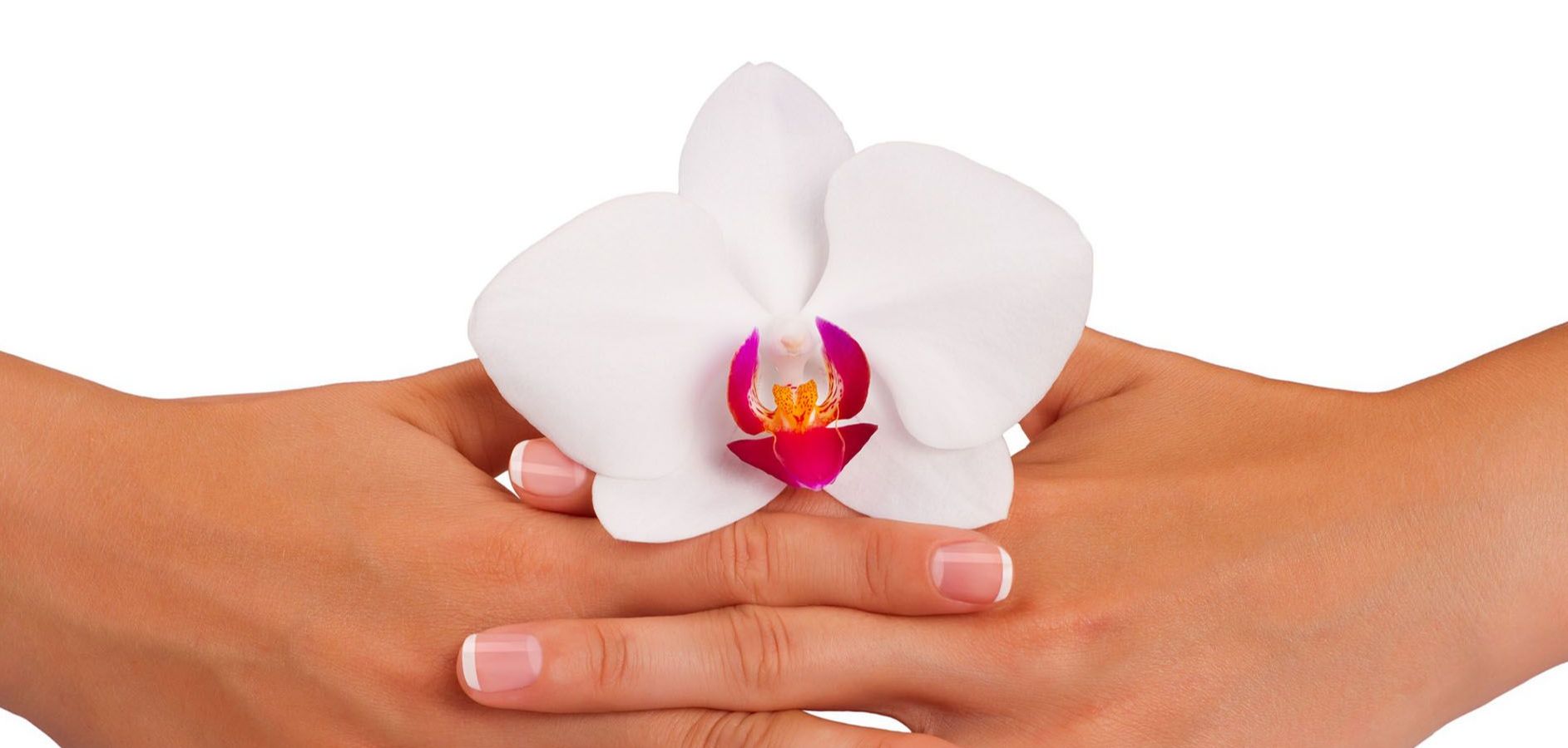 Ineinander verschränkte Hände, die eine weiße Orchideenblüte halten