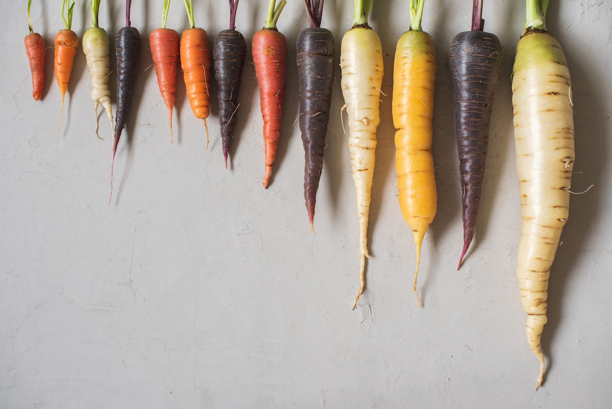 Verschiedenfarbige Karotten in unterschiedlichen Längen und Breiten