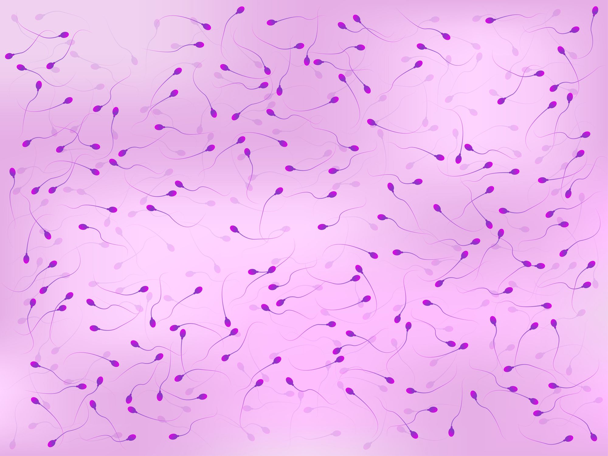 Spermien auf lila Hintergrund