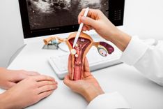 Arzt hält ein Modell einer Vagina in der Hand und erklärt etwas
