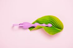 Rosa Analvibrator auf einem grünen Blatt vor rosafarbenem Hintergrund