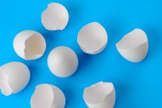 Zerbrochene weiße Eierschalen auf blauem Hintergrund