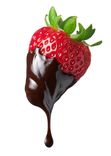 Erdbeere mit Schokoladenüberzug auf weißem Hintergrund