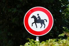 Schild mit Warnung vor Reiter:innen mit Wald im Hintergrund
