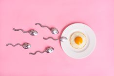 Löffel in Spermienform, die auf einen Teller mit einem Spiegelei zuschwimmen auf rosa Hintergrund