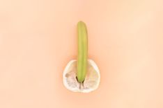 Banane, die in eine halbe Orange eingeführt wird