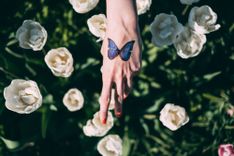 Frau mit gespreiztem Zeige- & Mittelfinger mit Schmetterlings-Tattoo auf dem Handrücken