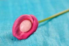 Blüte, in der ein rosa Stein liegt, der Hintergrund ist blau