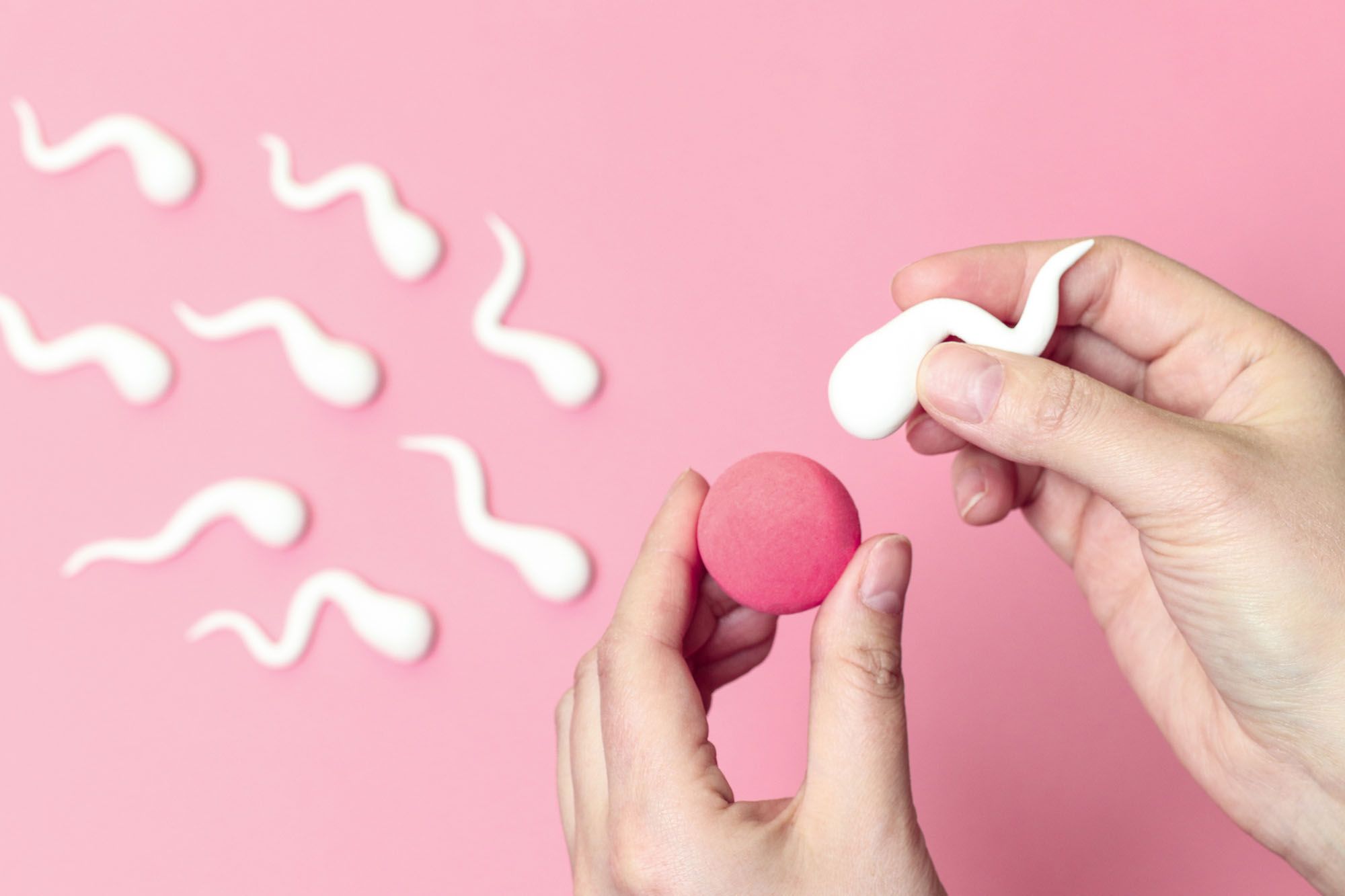 Spermien aus Gummi, eine wird an eine "Eizelle" gehalten